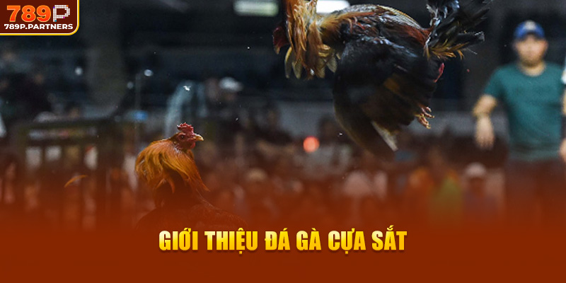 Giới thiệu đá gà cựa sắt