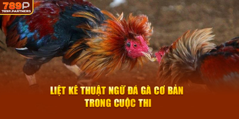 Liệt  kê thuật ngữ đá gà cơ bản trong cuộc thi