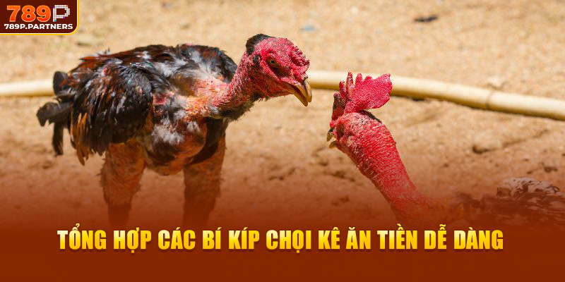 Tổng hợp các bí kíp chọi kê ăn tiền dễ dàng